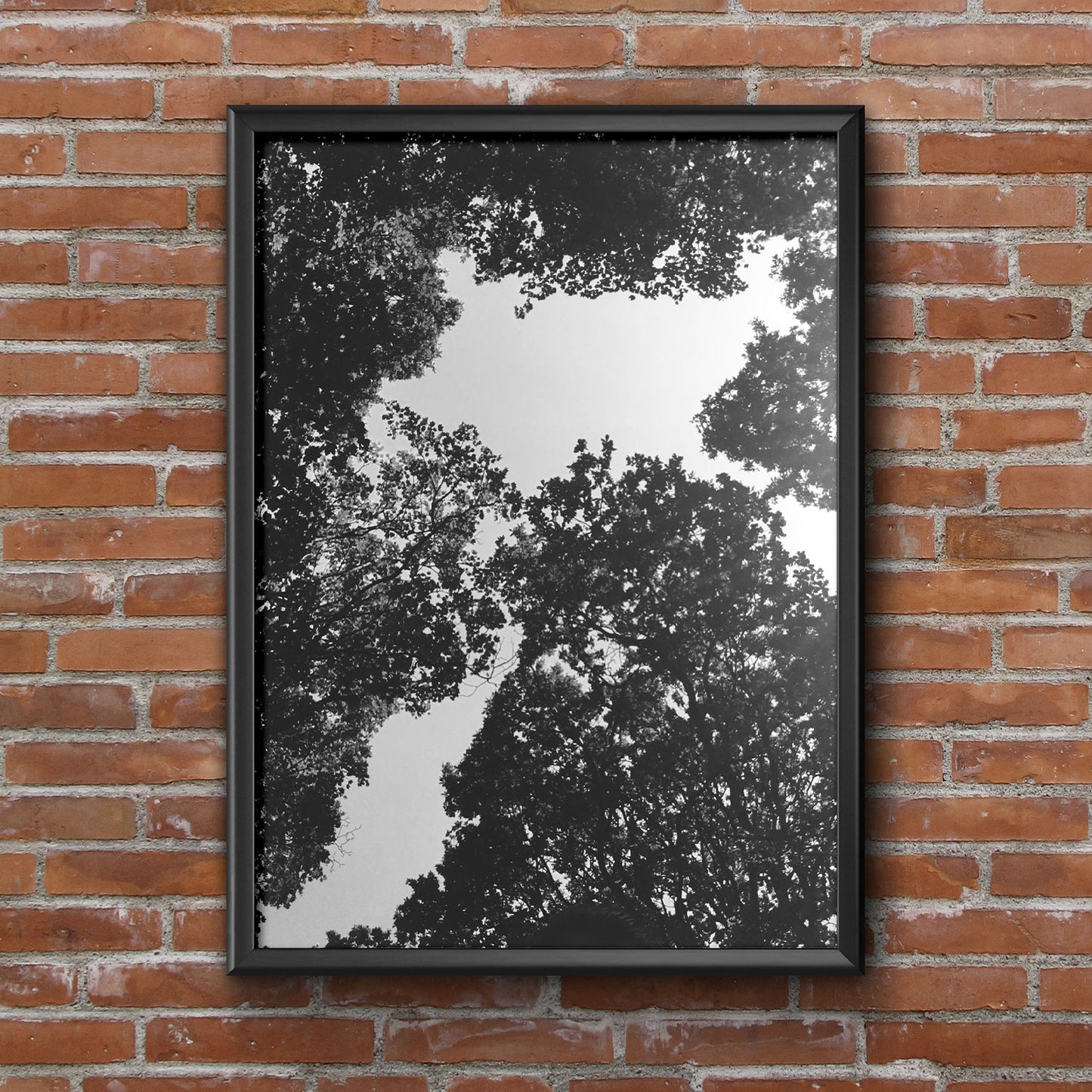 Tree Tops Premium Poster