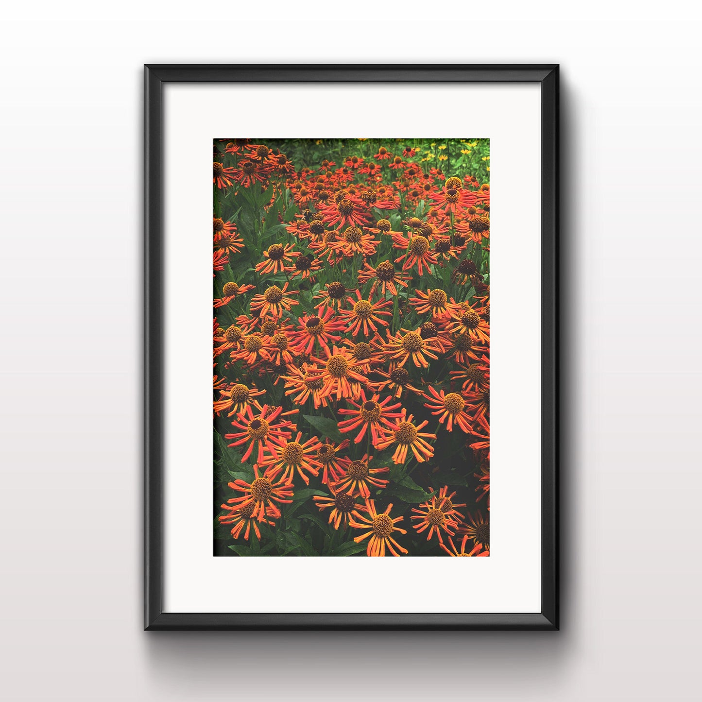 Colourful Flowers Premium Poster Print