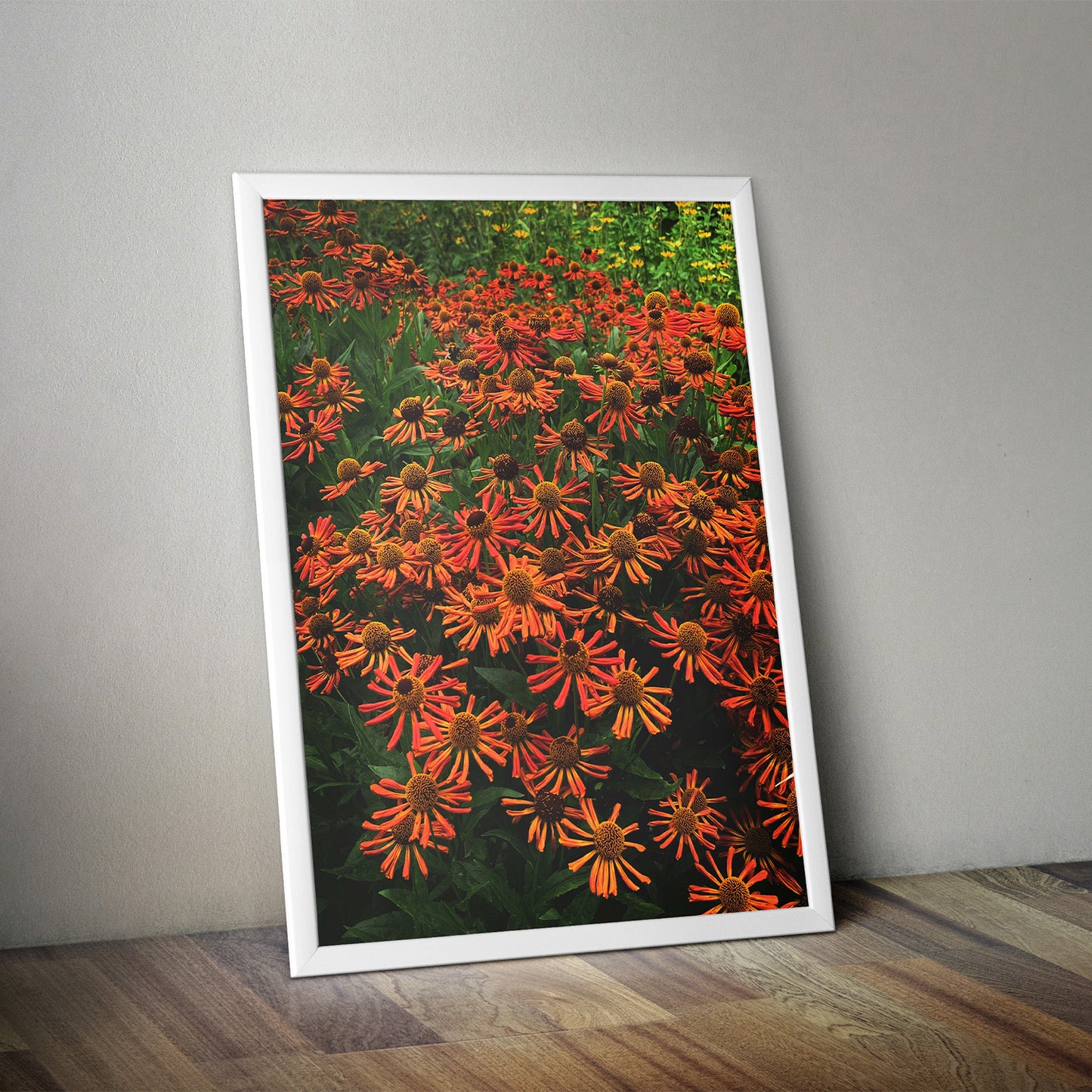 Colourful Flowers Premium Poster Print