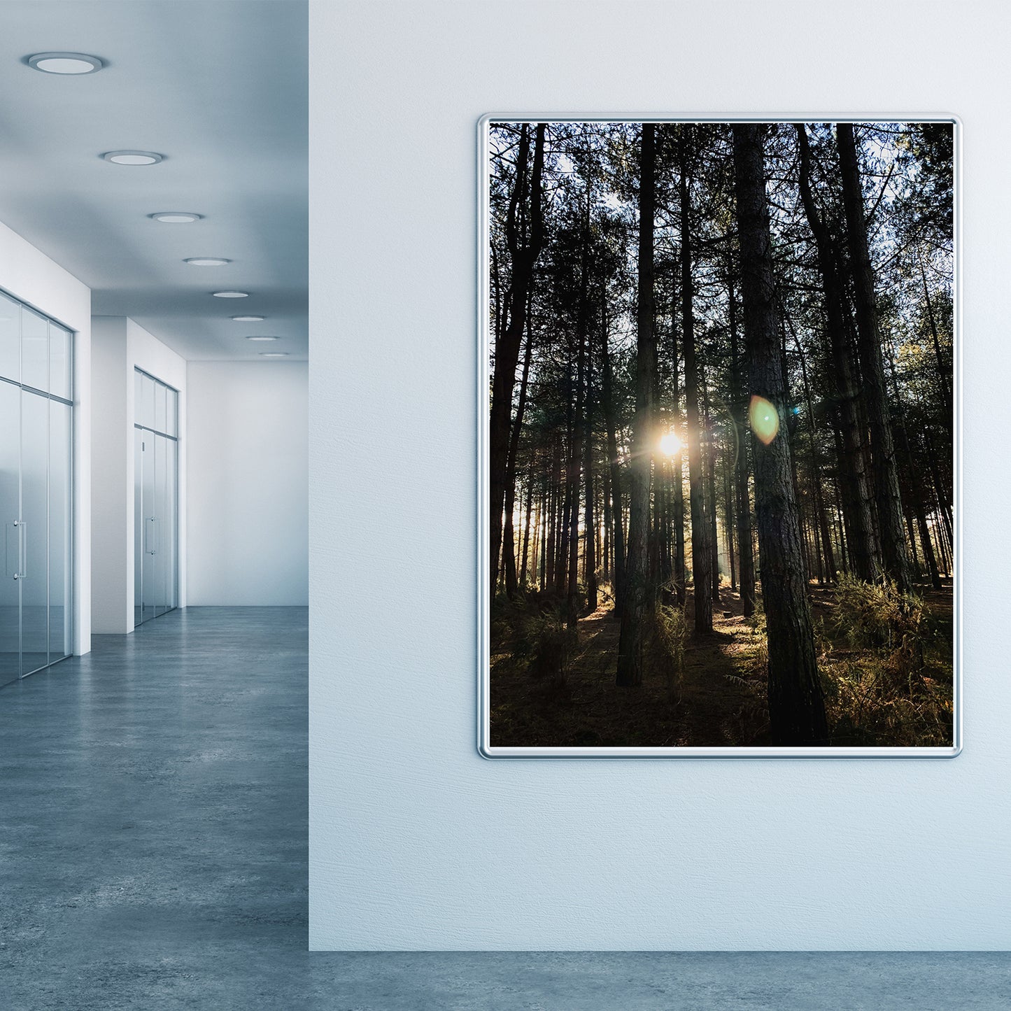 Forest Trees and Sunshine Premium Poster Print