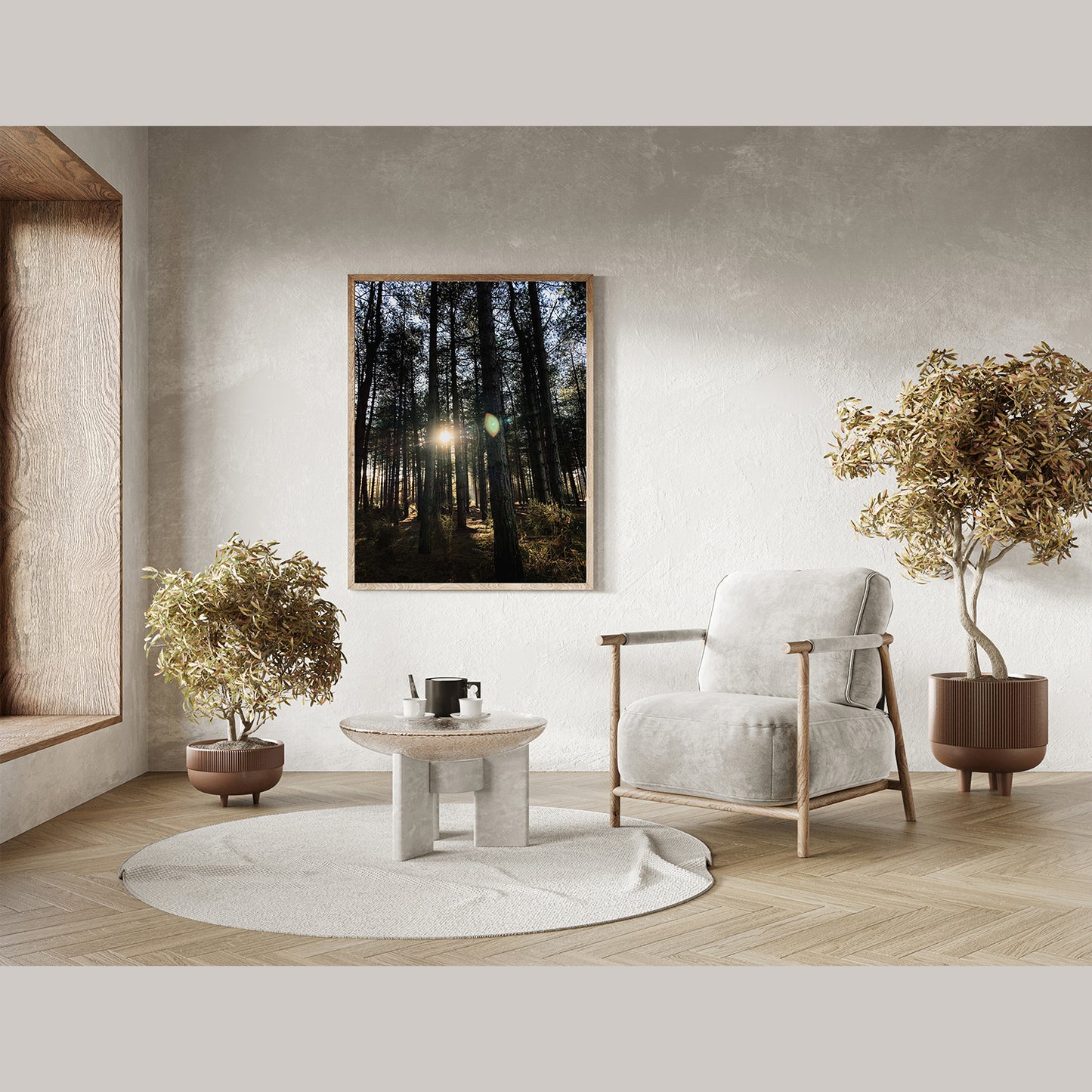 Forest Trees and Sunshine Premium Poster Print