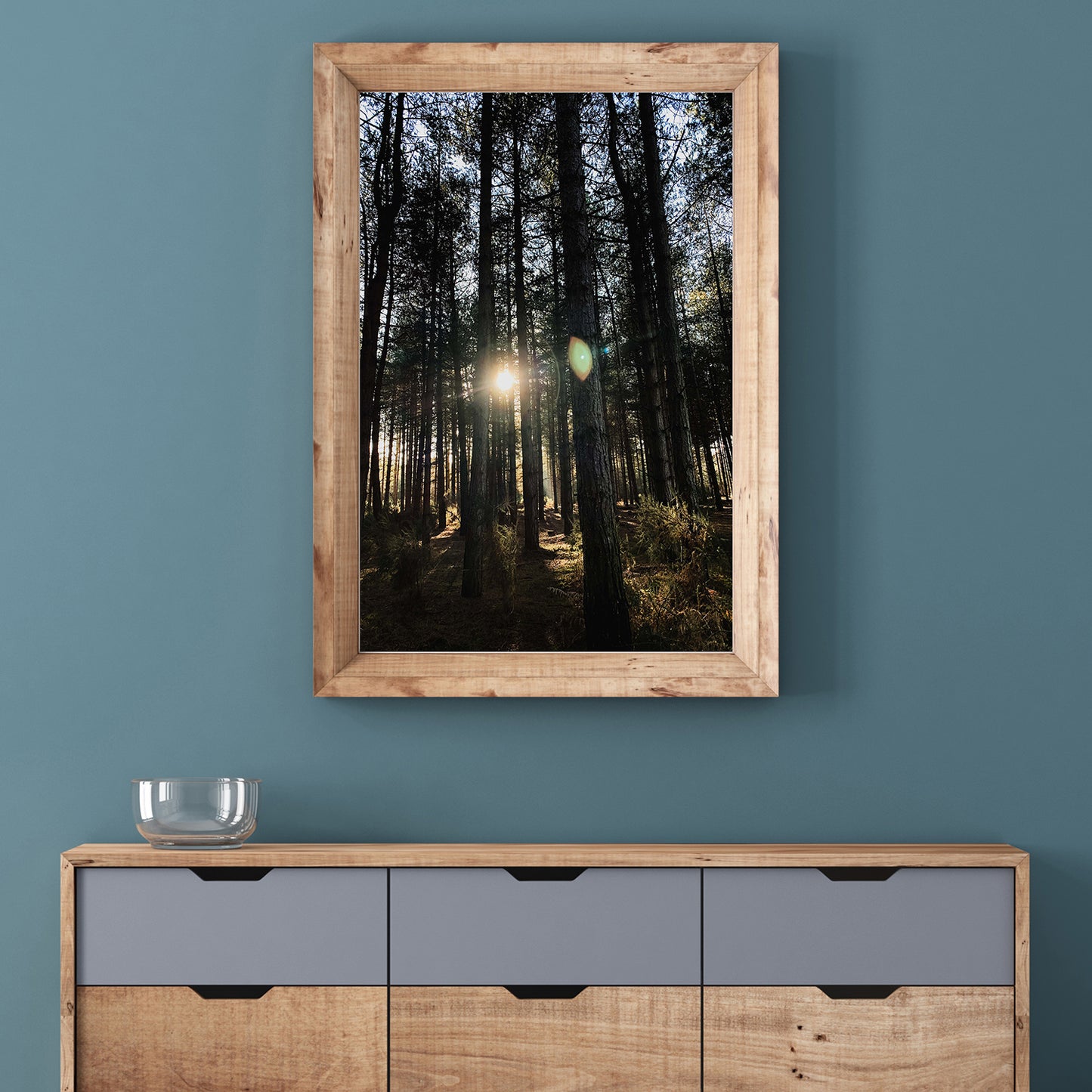 Forest Trees and Sunshine Premium Poster Print