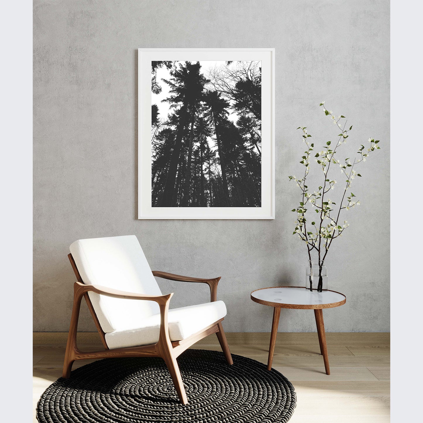 Tall Trees Premium Poster