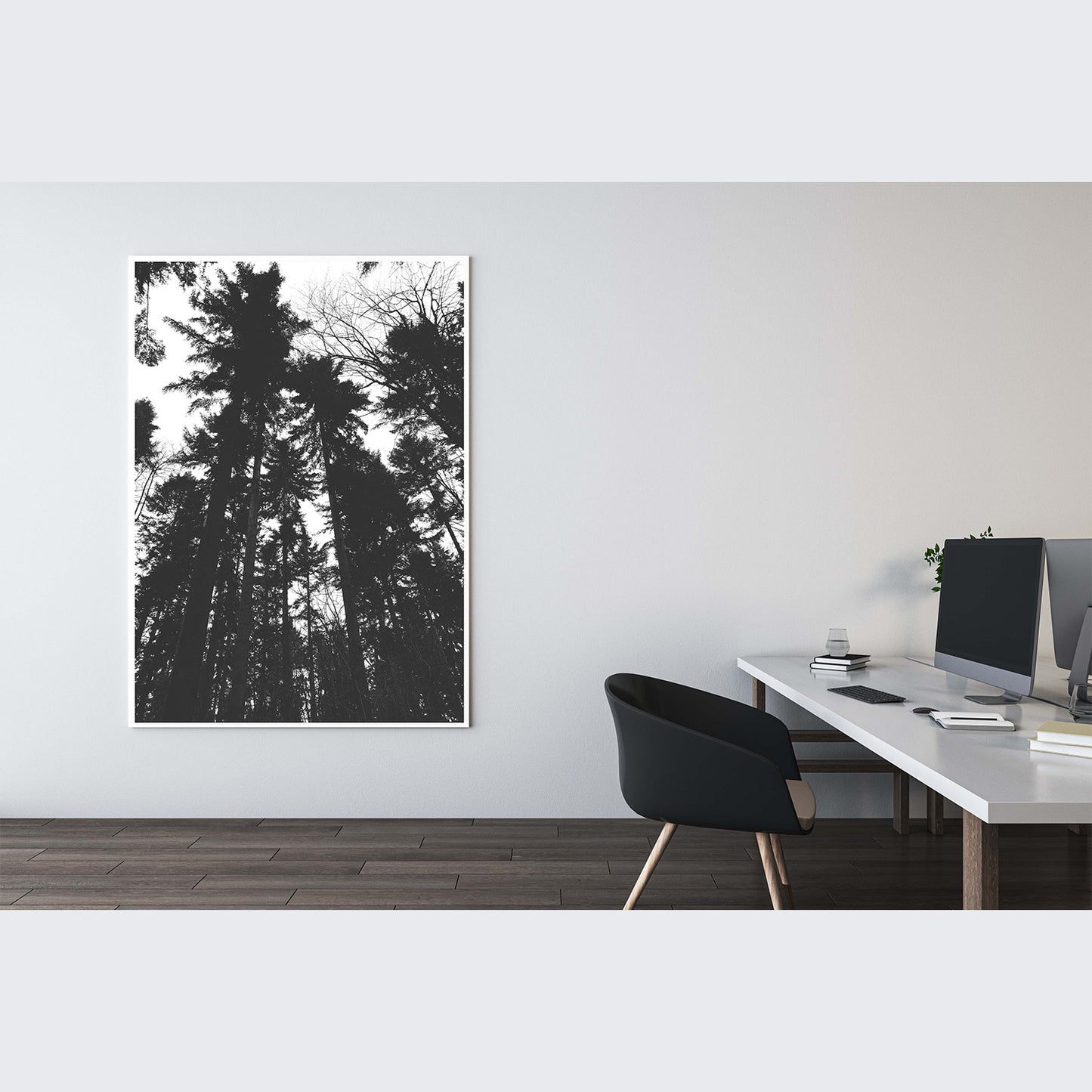 Tall Trees Premium Poster