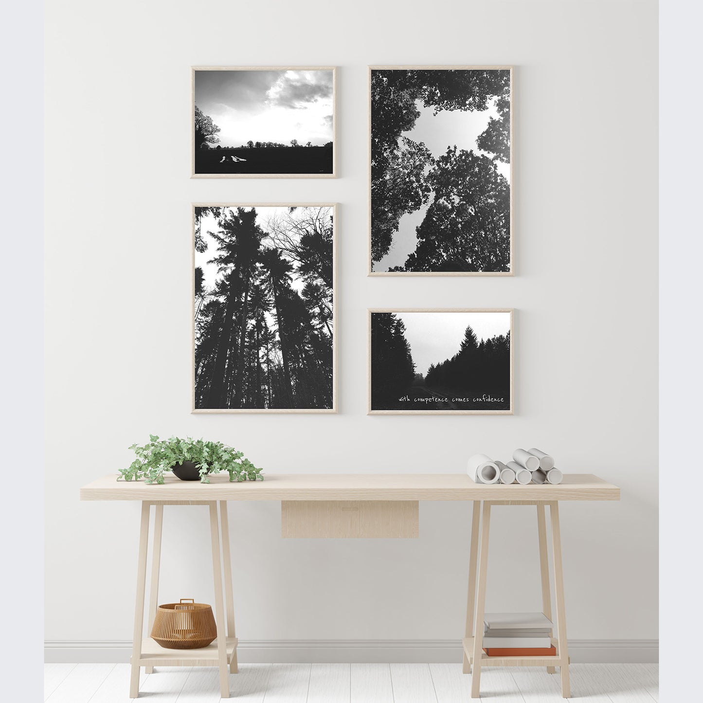 Tall Trees Premium Poster