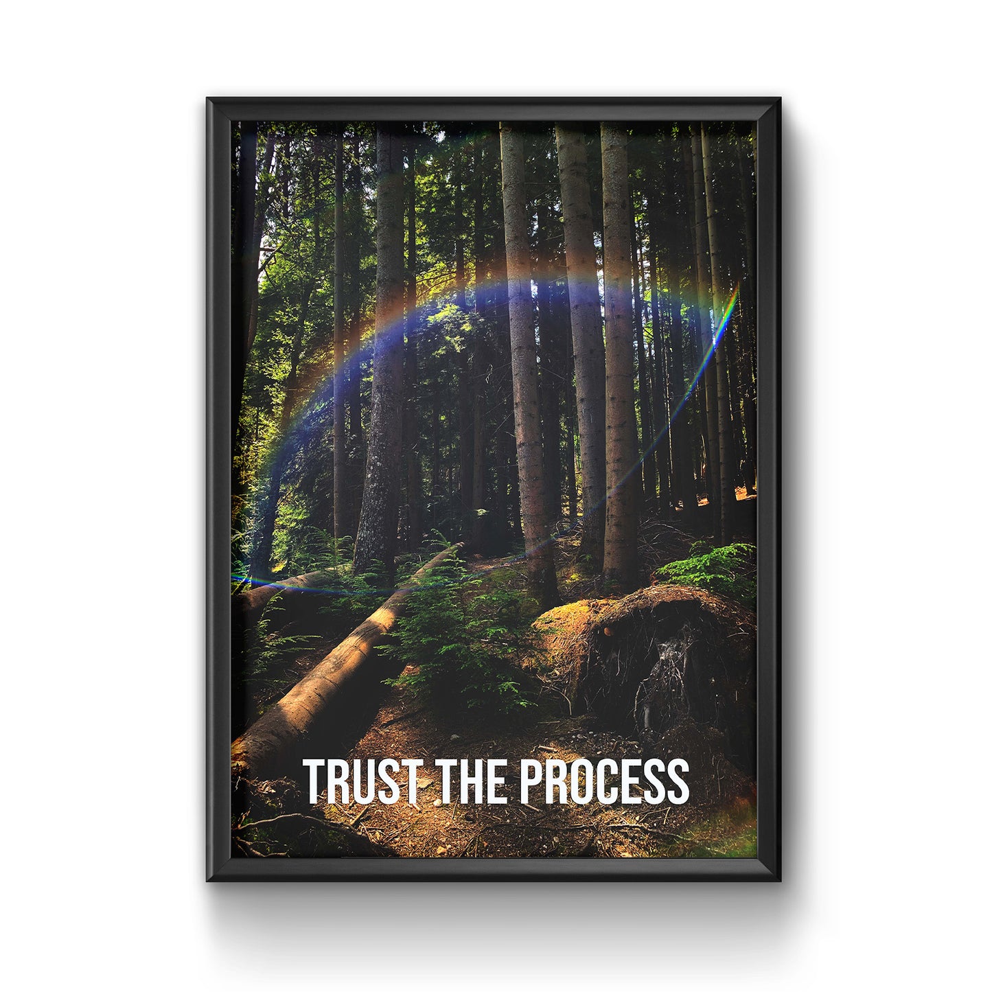 Trust the Process Premium Poster Print