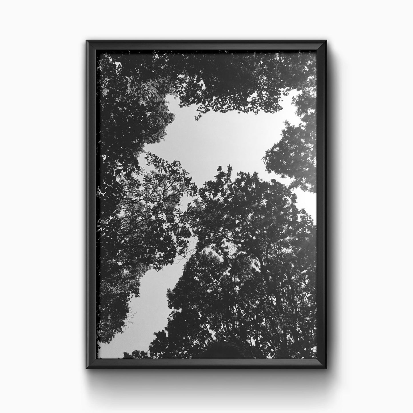 Tree Tops Premium Poster